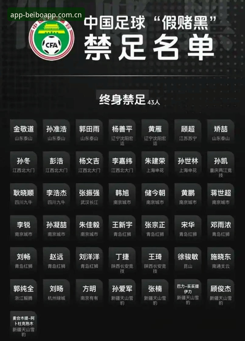 资深球迷分享贝博体育平台看球心得——从足协禁足名单聊起
